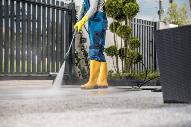 Best Playground Equipment Cleaning  in Elmwood Park, NJ