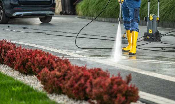 Best Driveway Pressure Washing  in Elmwood Park, NJ